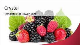  Presentation with blackberry - Slide deck consisting of mix berry - blackberry raspberry and strawberry isolated background and a white colored foreground