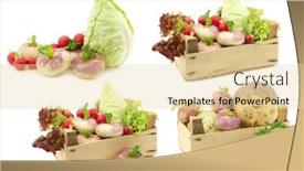  Presentation with cabbage - Beautiful theme featuring mix-of-cabbage-lettuce backdrop and a lemonade colored foreground