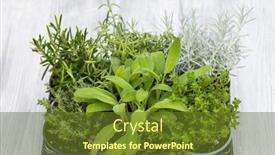  Presentation with herbs - Slide deck consisting of mix-of-herbs background and a tawny brown colored foreground