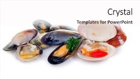  Presentation with mollusk - Beautiful PPT theme featuring mix of mollusk backdrop and a white colored foreground