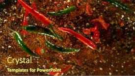  Presentation with gravity - Audience pleasing presentation theme consisting of mix-of-various-kind backdrop and a tawny brown colored foreground