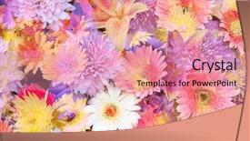  Presentation with mexican food mix colorful - Presentation theme consisting of mixed flowers in a colorful background and a coral colored foreground