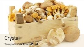  Presentation with mushrooms - Cool new PPT theme with mixed freshly harvested mushrooms in a wooden crate on a white background backdrop and a lemonade colored foreground
