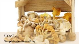  Presentation with mushrooms - Amazing presentation design having mixed freshly harvested mushrooms in a wooden crate on a white background backdrop and a yellow colored foreground