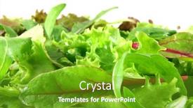  Presentation with background - Beautiful presentation theme featuring mixed-lettuces-closeup-white-background backdrop and a tawny brown colored foreground