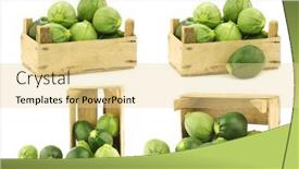  Presentation with light green moving - Beautiful presentation design featuring mixed-light-green-and-green backdrop and a blonde colored foreground