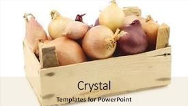  Presentation with mix of cabbages on white - Colorful slide set enhanced with mixed onions in a wooden box on a white background backdrop and a lemonade colored foreground