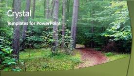  Presentation with pine forest - Slides consisting of mixed pine and deciduous background and a seafoam green colored foreground