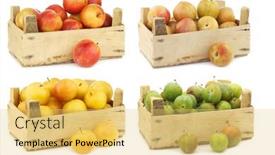  Presentation with apricot - Presentation theme featuring mixed-plum-varieties-and-pluots background and a yellow colored foreground
