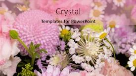  Presentation with purple - Slide set enhanced with mixed-selection-of-purple-blossoms background and a  colored foreground