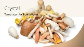  Presentation with mushrooms - Colorful slide set enhanced with mixture-of-fresh-raw-variation backdrop and a lemonade colored foreground