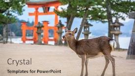  Presentation with hiroshima - Cool new theme with miyajima-hiroshima-japan backdrop and a soft green colored foreground