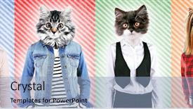  Presentation with animals - PPT theme enhanced with mockery - series of people with animals background and a light blue colored foreground