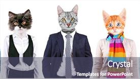  Presentation with animals - Colorful presentation theme enhanced with mockery - series of people with animals backdrop and a ocean colored foreground