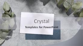  Presentation with eucalyptus leaves - PPT theme having mockup-of-two-business-card background and a sky blue colored foreground