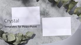  Presentation with eucalyptus leaves - Audience pleasing slide set consisting of mockup-of-two-business-card backdrop and a lemonade colored foreground