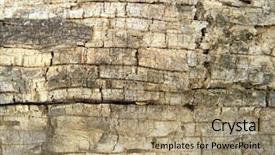  Presentation with old books on a wooden - Presentation theme having modan - old cracked wooden surface background and a  colored foreground