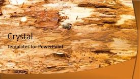  Presentation with old wood - Amazing presentation theme having young engineer in helmet holding under construction sign while standing among flying paper planes on broken bridge with skyscape on background 3d rendering backdrop and a light gray colored foreground.