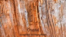  Presentation with old dry tree - Slides with modan - old tree trunk texture background background and a red colored foreground