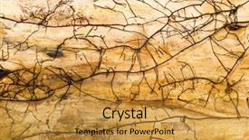  Presentation with rustic old wood texture - Beautiful slides featuring modan - old wooden texture brown colors backdrop and a gold colored foreground