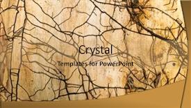  Presentation with brown - Amazing presentation having modan - old wooden texture brown colors backdrop and a coral colored foreground