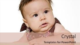  Presentation with baby chickens little cute chicks - Beautiful PPT layouts featuring 7 s model - cute funny look on baby's backdrop and a  colored foreground