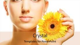  Presentation with beautiful floral border flower design - Presentation design with spring crocus flowers under snow background and a  colored foreground.