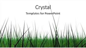  Presentation with wide screen medical - PPT layouts featuring modeled grass border wide screen background and a  colored foreground