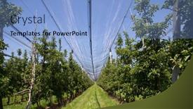  Presentation with spring modern - Presentation design having modern-apple-orchard-with-protective background and a light blue colored foreground