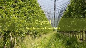  Presentation with spring modern - Slide deck enhanced with modern-apple-orchard-with-protective background and a tawny brown colored foreground