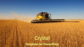 Presentation with wheat - Presentation theme enhanced with modern combine harvester working background and a tawny brown colored foreground
