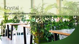  Presentation with ecology - Amazing slide set having modern-eco-restaurant-interior-ecology backdrop and a soft green colored foreground