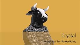  Presentation with animal collage - Colorful slide deck enhanced with animal collage - young caucasian man backdrop and a yellow colored foreground