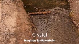  Presentation with garden city - Slide deck with modern-garden-and-landscaping-recultivated background and a tawny brown colored foreground