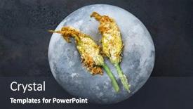  Presentation with served - Presentation design consisting of modern-style-traditional-fried-fiori background and a tawny brown colored foreground