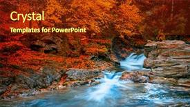  Presentation with forest stream - Cool new presentation with moist - summer landscape with a beautiful backdrop and a tawny brown colored foreground