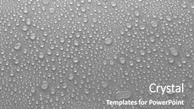  Presentation with water droplet drops on plant - Colorful presentation theme enhanced with moist - water drops on glass backdrop and a gray colored foreground