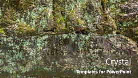  Presentation with brick wall texture - Presentation design with moisture-aged-cement-brick-wall background and a tawny brown colored foreground