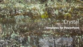  Presentation with brick wall texture - Presentation theme enhanced with moisture-aged-cement-brick-wall background and a tawny brown colored foreground