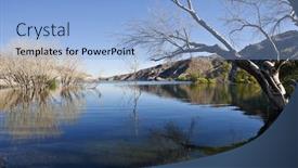  Presentation with cottonwood trees - Theme consisting of mojave-desert-cottonwood-trees background and a light blue colored foreground