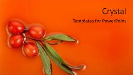 Presentation with oil - PPT theme featuring molasses - sea-buckthorn oil background and a dark gray colored foreground