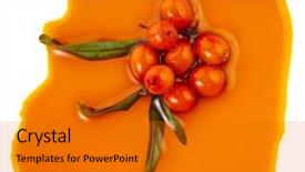  Presentation with thorn - PPT theme featuring molasses - sea-buckthorn sallow thorn oil spillng background and a gold colored foreground