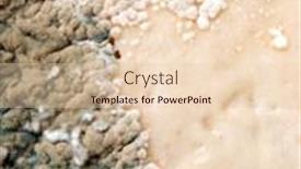  Presentation with mold - Slides featuring mold-closeup-texture-background background and a lemonade colored foreground