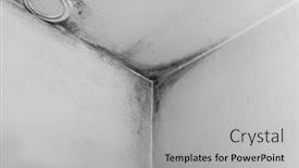 Presentation with mold - Cool new presentation theme with mold-from-condensation backdrop and a light gray colored foreground