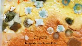  Presentation with mold - PPT theme with mold-growing-on-a-petri background and a gold colored foreground