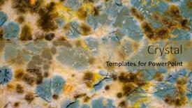  Presentation with mold - Cool new PPT theme with mold-on-pita-bread-close backdrop and a coral colored foreground