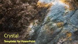  Presentation with mold - Beautiful slide deck featuring mold-on-pita-bread-close backdrop and a tawny brown colored foreground