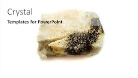  Presentation with bread - PPT layouts featuring moldy-bread-on-a-white and a white colored foreground