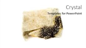  Presentation with bread - PPT theme having moldy-bread-on-a-white and a white colored foreground