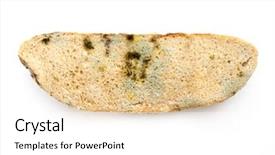  Presentation with bread - Colorful slide deck enhanced with moldy bread backdrop and a white colored foreground